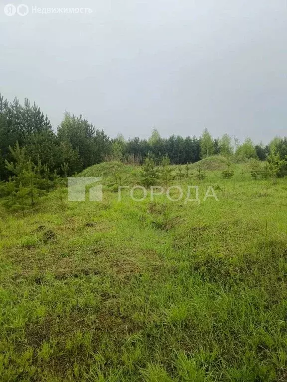Участок в Ленинск-Кузнецкий, Осенняя улица (15 м) - Фото 1