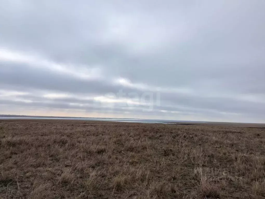 Участок в Крым, Черноморский район, с. Окуневка  (100.0 сот.) - Фото 1