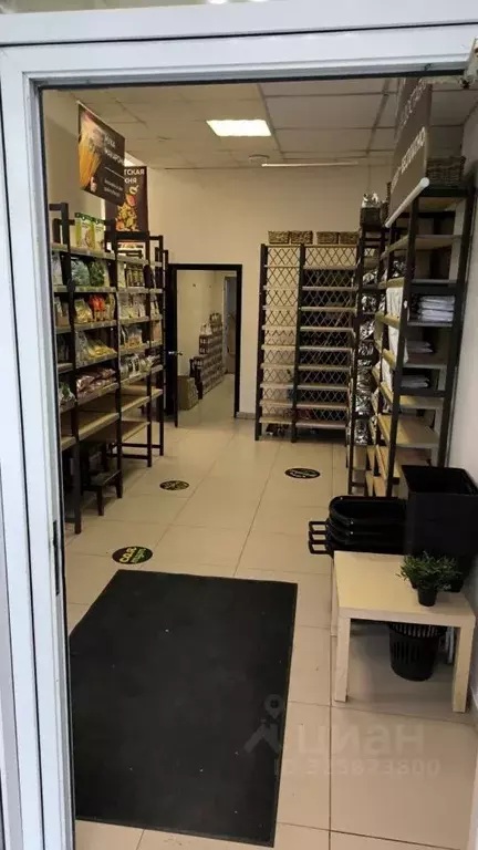 Помещение свободного назначения в Свердловская область, Екатеринбург ... - Фото 2