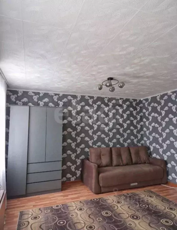 Студия Курганская область, Курган ул. Комиссаров, 65 (32.2 м) - Фото 0