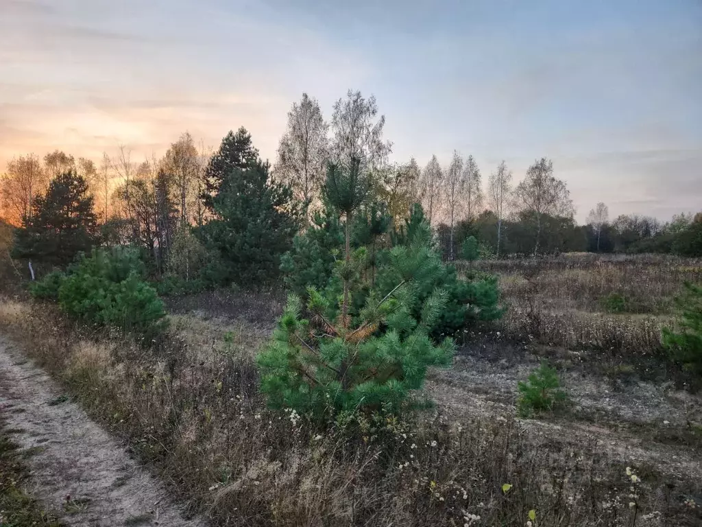 Участок в Владимирская область, Петушинский муниципальный округ, д. ... - Фото 2