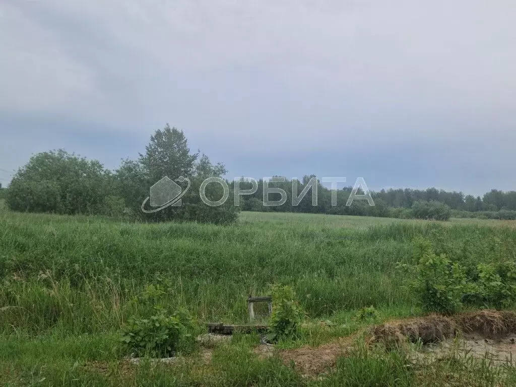 Участок в Тюменская область, Тюменский район, с. Ембаево  (5.8 сот.) - Фото 1