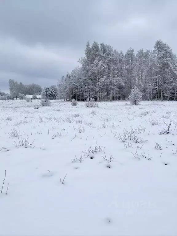 Участок в Кировская область, Орловский район, д. Скозырята 6 (18.5 ... - Фото 1