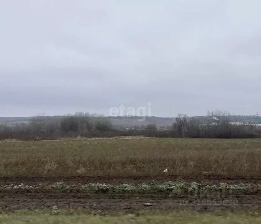 Участок в Белгородская область, Белгородский район, Разумное рп  ... - Фото 0