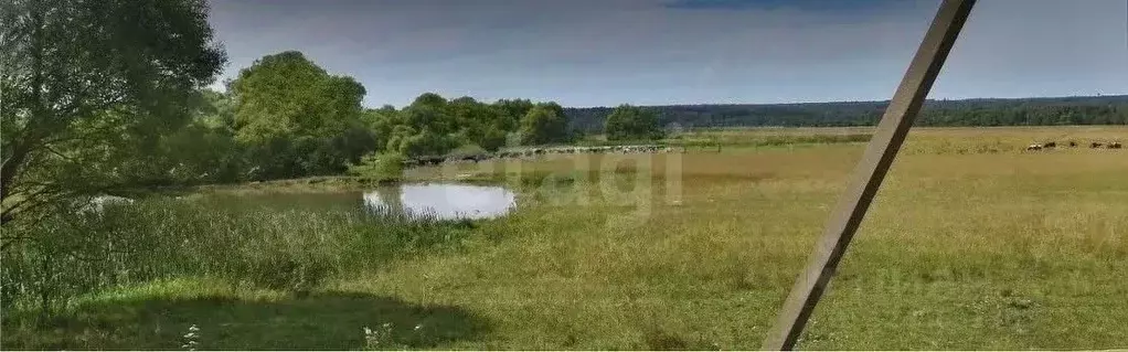 Участок в Московская область, Рузский муниципальный округ, д. Марьино  ... - Фото 1