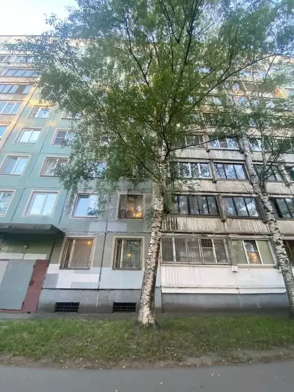 2-комнатная квартира: Санкт-Петербург, Светлановский проспект, 46к1 ... - Фото 2