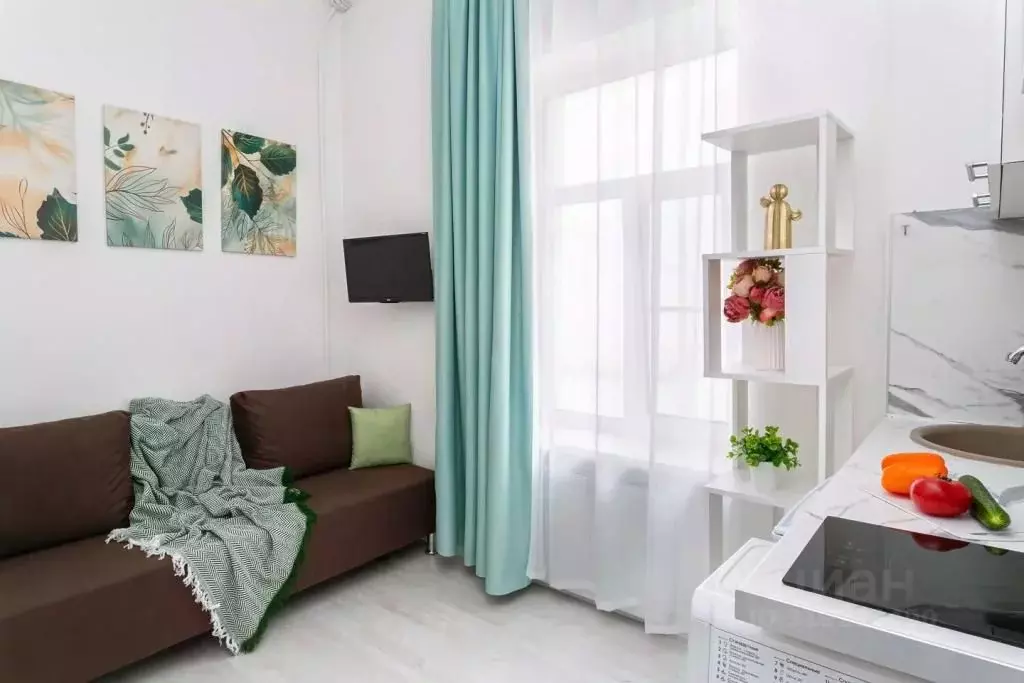1-к кв. Санкт-Петербург наб. Реки Фонтанки, 97 (20.0 м) - Фото 1