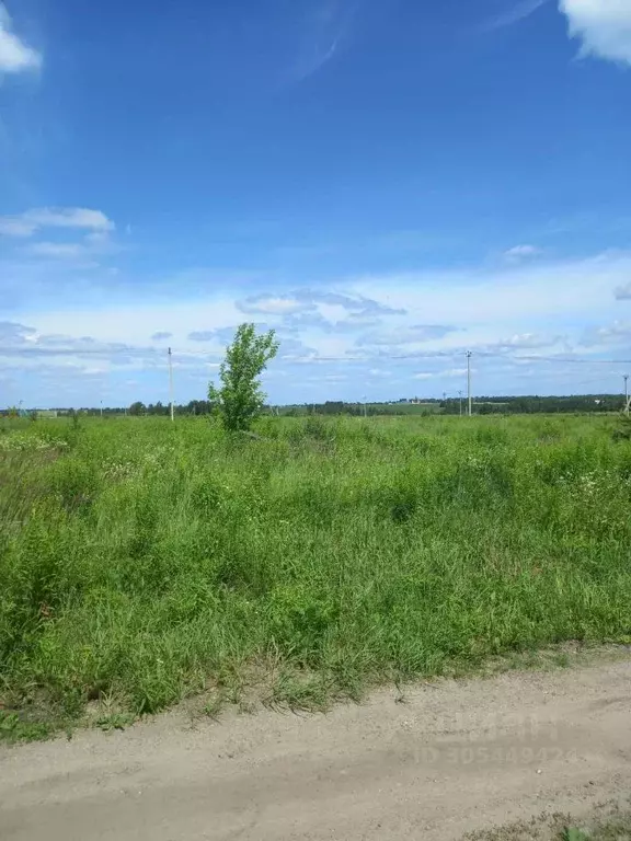 Участок в Брянская область, Брянский район, Добрунское с/пос, с. ... - Фото 2