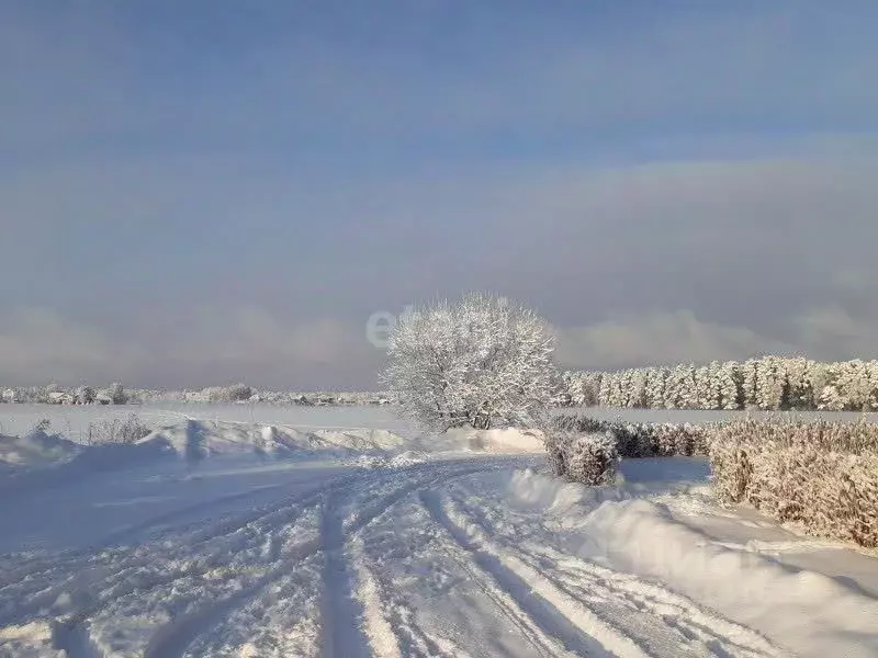 Участок в Свердловская область, Екатеринбург Малый Исток кп,  (550.0 ... - Фото 0