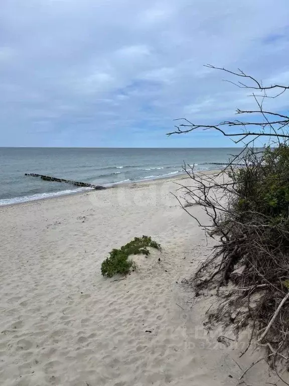 Дом в Калининградская область, Зеленоградск Волна садоводческое ... - Фото 1