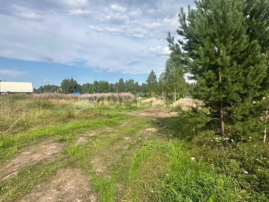 Участок в Тюменская область, Тюменский район, с. Кулаково  (10.0 сот.) - Фото 1