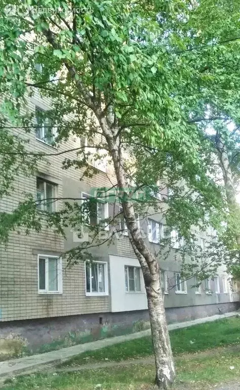 1к в 4-комнатной квартире (18.3 м) - Фото 1