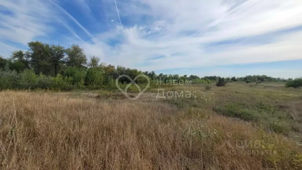 Участок в Волгоградская область, Среднеахтубинский район, Куйбышевское ... - Фото 1