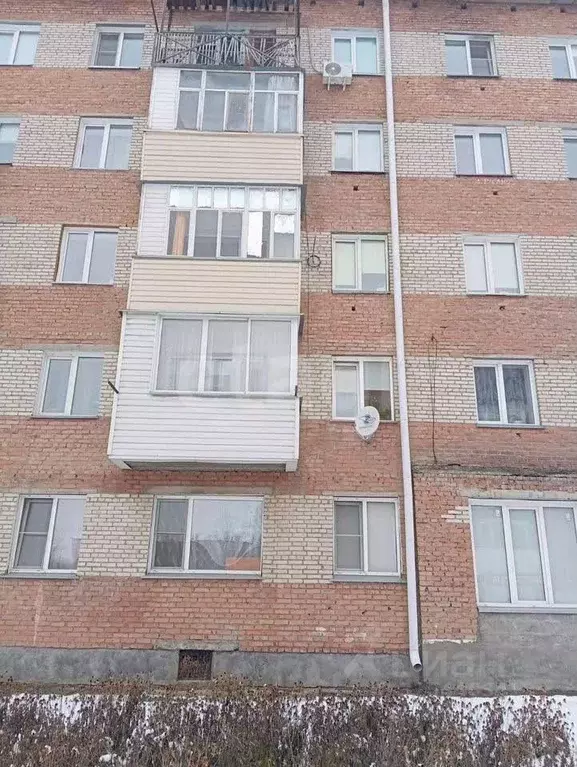 1-к кв. Алтайский край, Бийск пос. Сорокино, ул. Мирная, 5 (29.5 м) - Фото 1