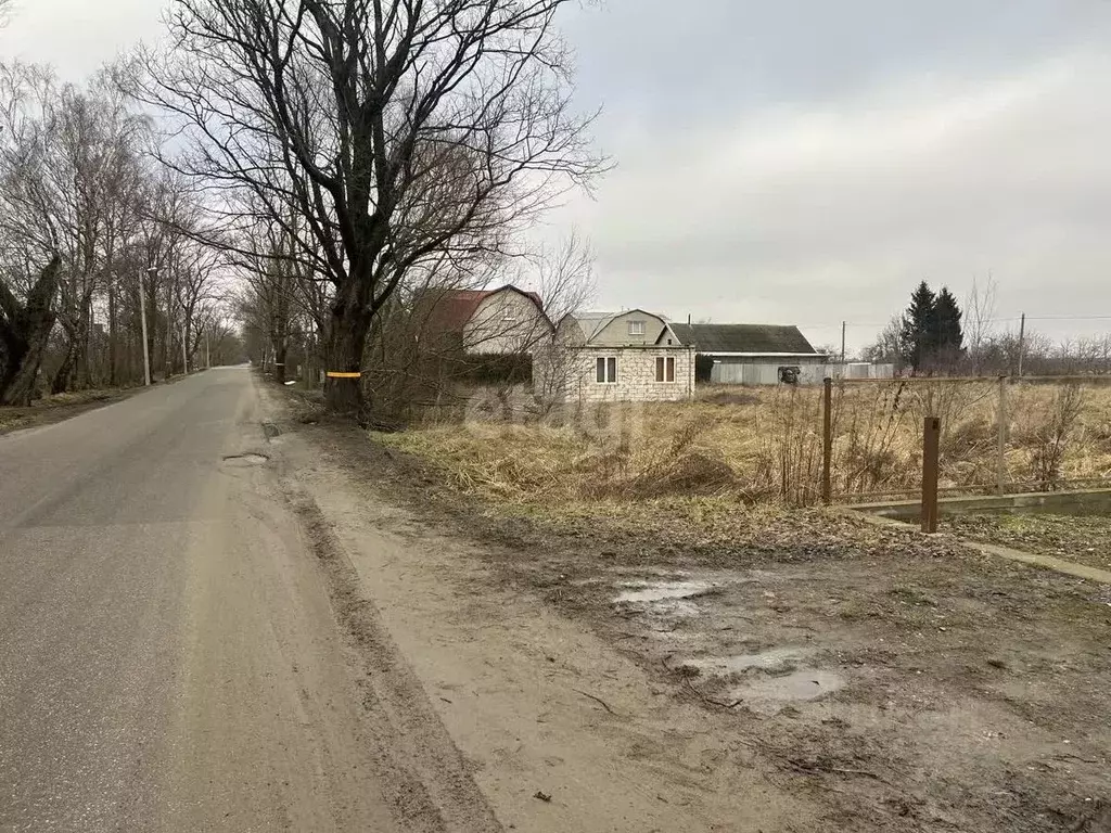 Участок в Калининградская область, Гурьевский муниципальный округ, ... - Фото 0