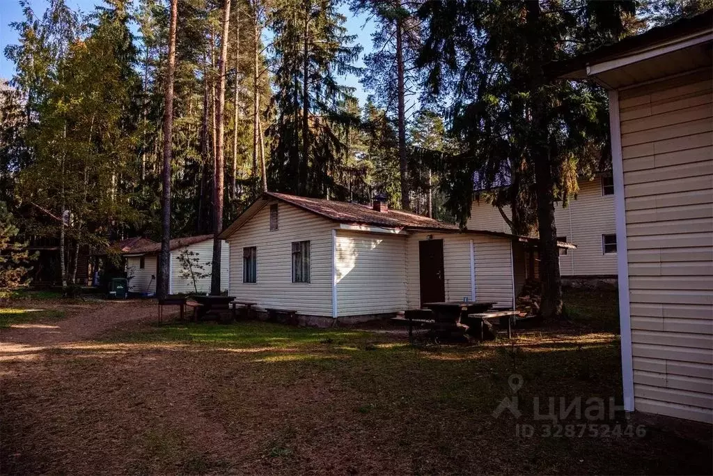 Дом в Псковская область, Гдов  (20 м) - Фото 1