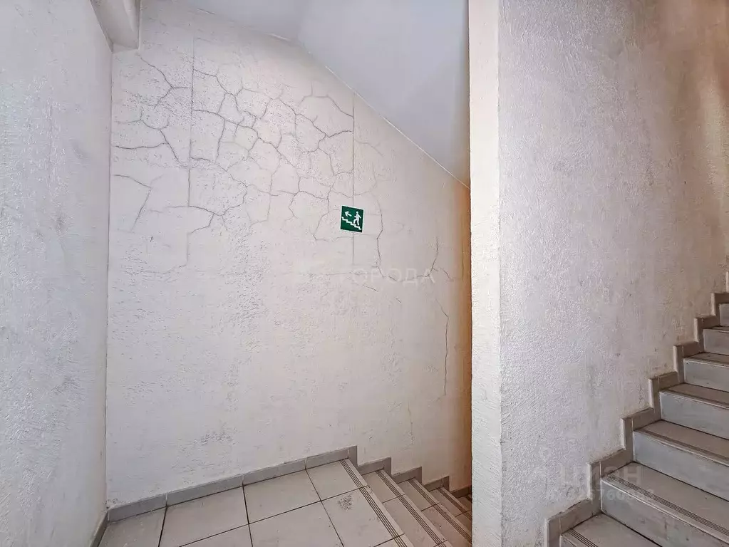 Помещение свободного назначения в Новосибирская область, Новосибирск ... - Фото 2