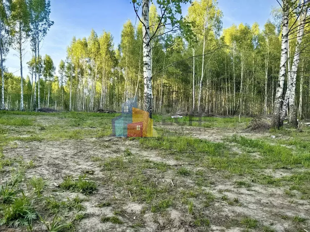 Участок 11 сот. (ИЖС) - Фото 1