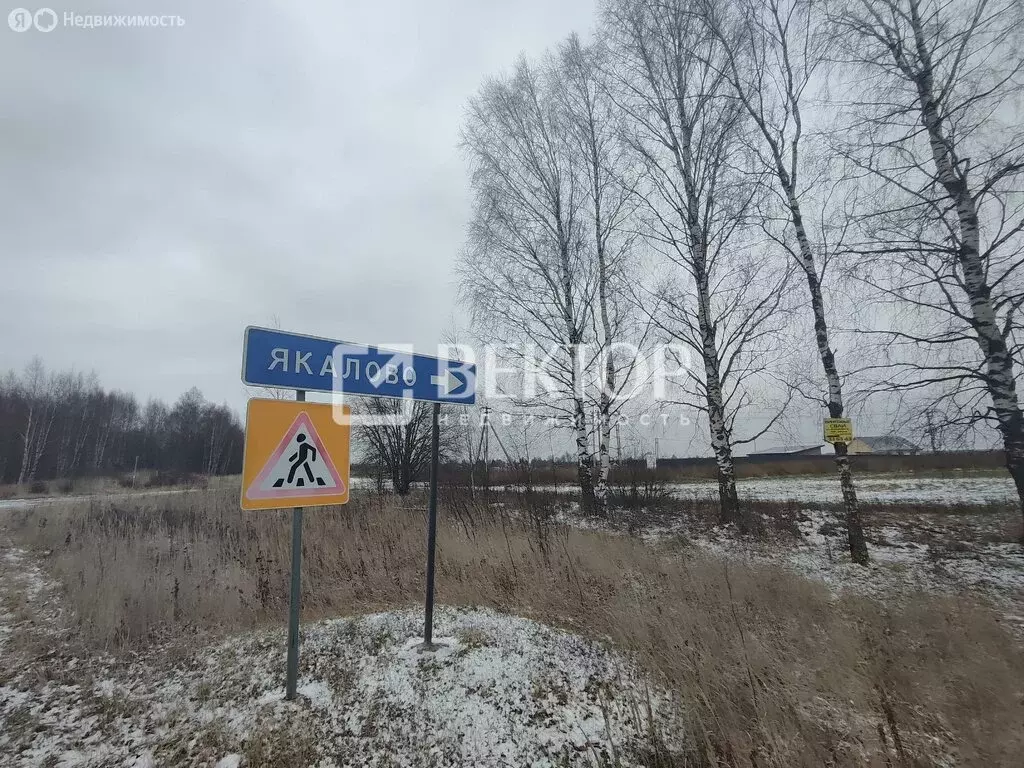 Участок в Ярославский муниципальный округ, деревня Якалово (5 м) - Фото 1