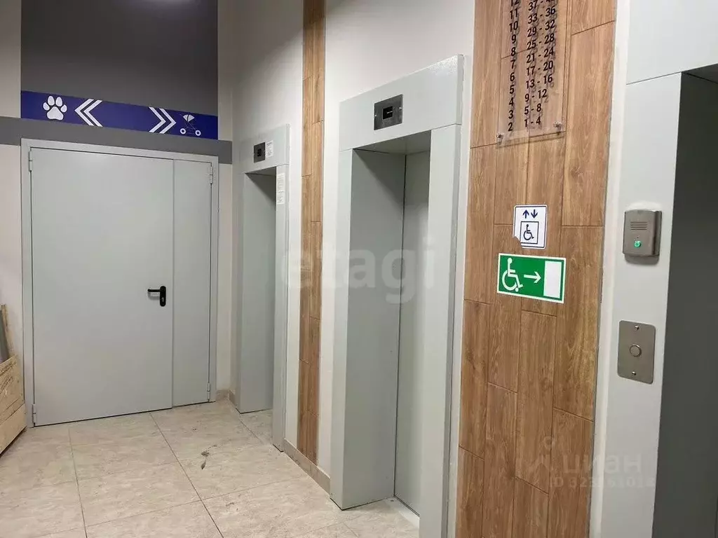 2-к кв. Самарская область, Самара Белорусская ул., 26 (61.3 м) - Фото 2