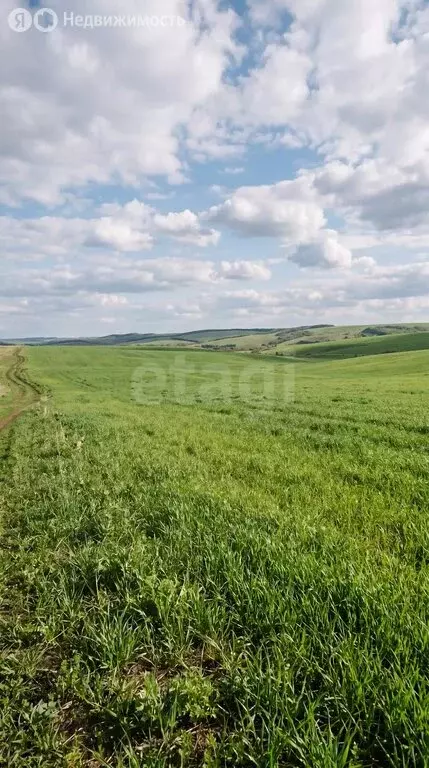 Участок в Усть-Коксинский район, посёлок Октябрьское (19.98 м) - Фото 1