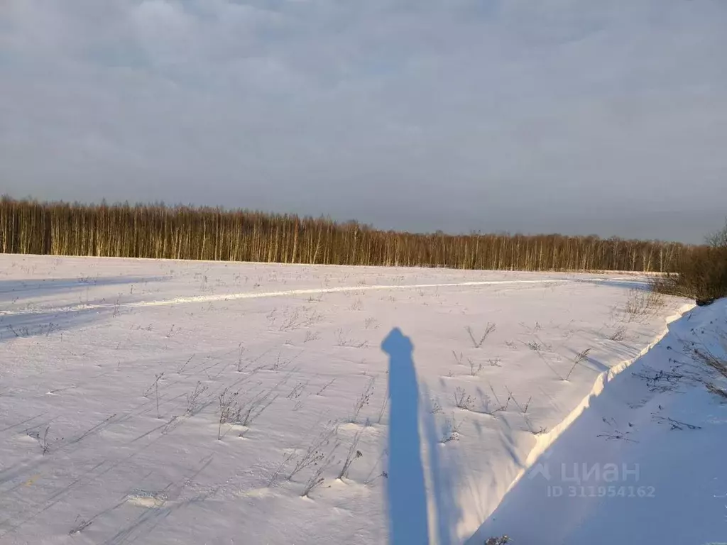 Участок в Московская область, Раменский городской округ, д. Васильево ... - Фото 1