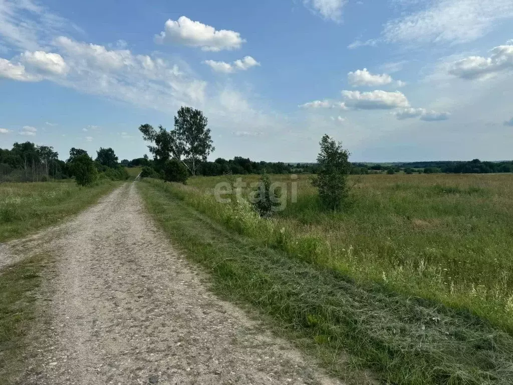 Участок в Костромская область, Красносельский район, Шолоховское ... - Фото 0