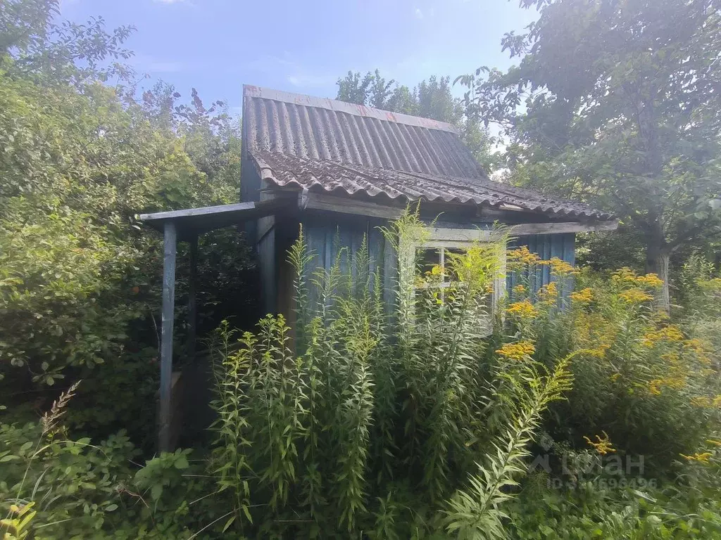 Участок в Калининградская область, Калининград Ромашка СНТ, ул. ... - Фото 0
