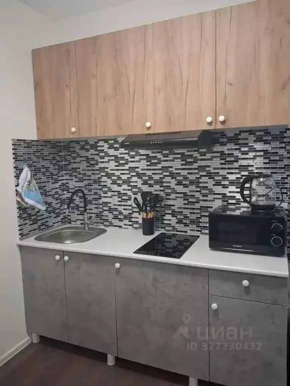 Студия Санкт-Петербург ул. Пейзажная, 24к3 (20.1 м) - Фото 2