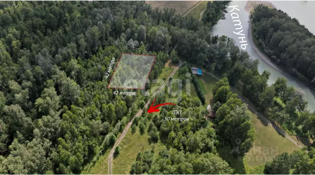 Участок в Алтай, Майминский район, Соузгинское с/пос, пос. Черемшанка ... - Фото 1