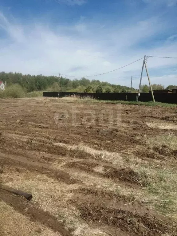 Участок в Тюменская область, Тюмень Лаванда садовое товарищество, ул. ... - Фото 1