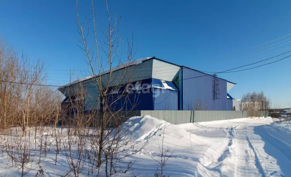Склад в Тюменская область, Тюмень пос. Новорощино,  (951 м) - Фото 1