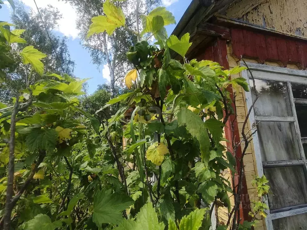 Дом в Смоленская область, Смоленск Строитель садоводческое ... - Фото 2
