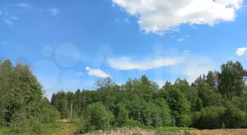 Участок 7,5 сот. (СНТ, ДНП) - Фото 0