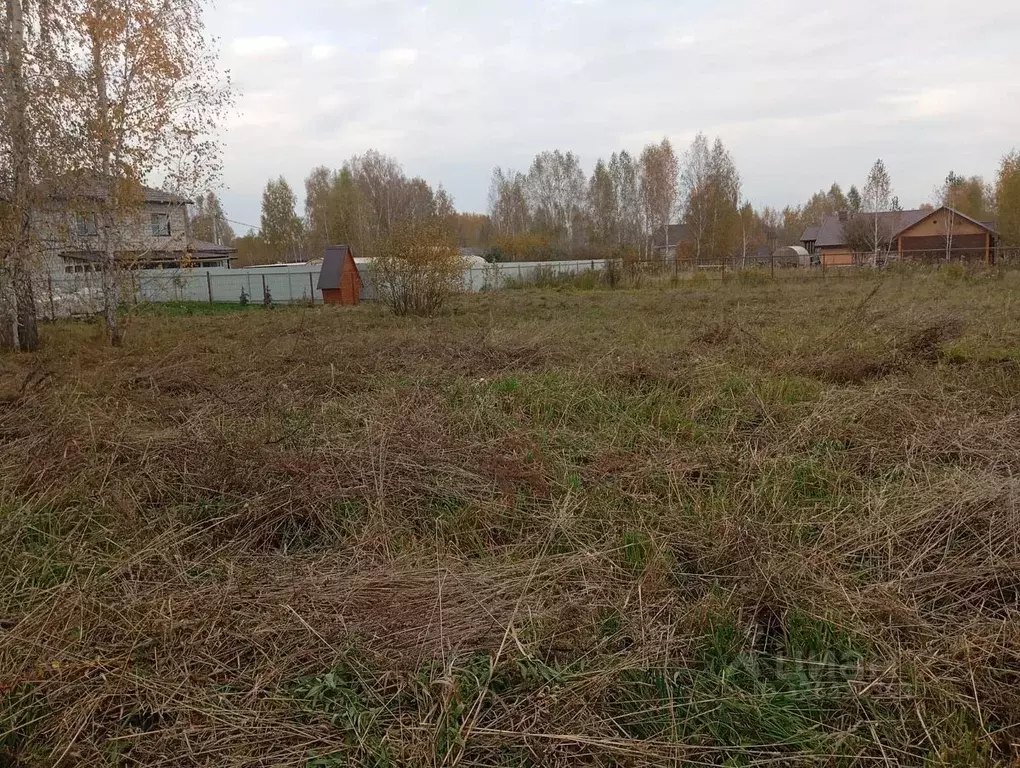 Участок в Новосибирская область, Новосибирский район, Барышевский ... - Фото 2