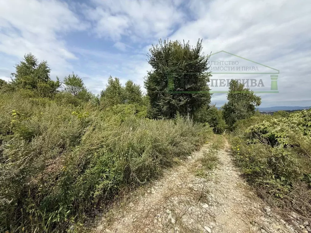 Участок в Приморский край, Артем Тигровый СНТ, 12 (10.0 сот.) - Фото 1