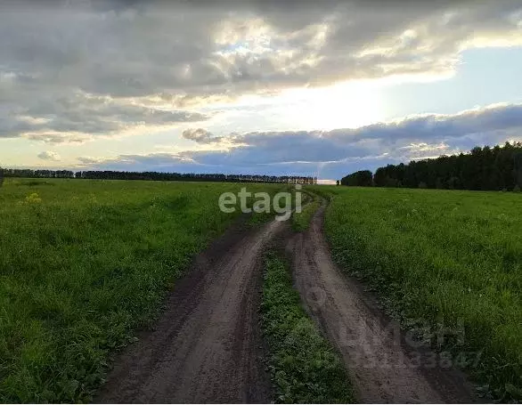 Участок в Новосибирская область, Бердск Марьин Лог СНТ, ул. 59-я, 8 ... - Фото 1