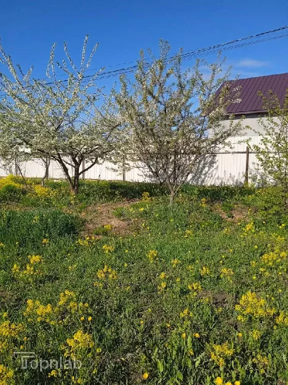 Продается участок в ДНП Дубрава - Фото 2