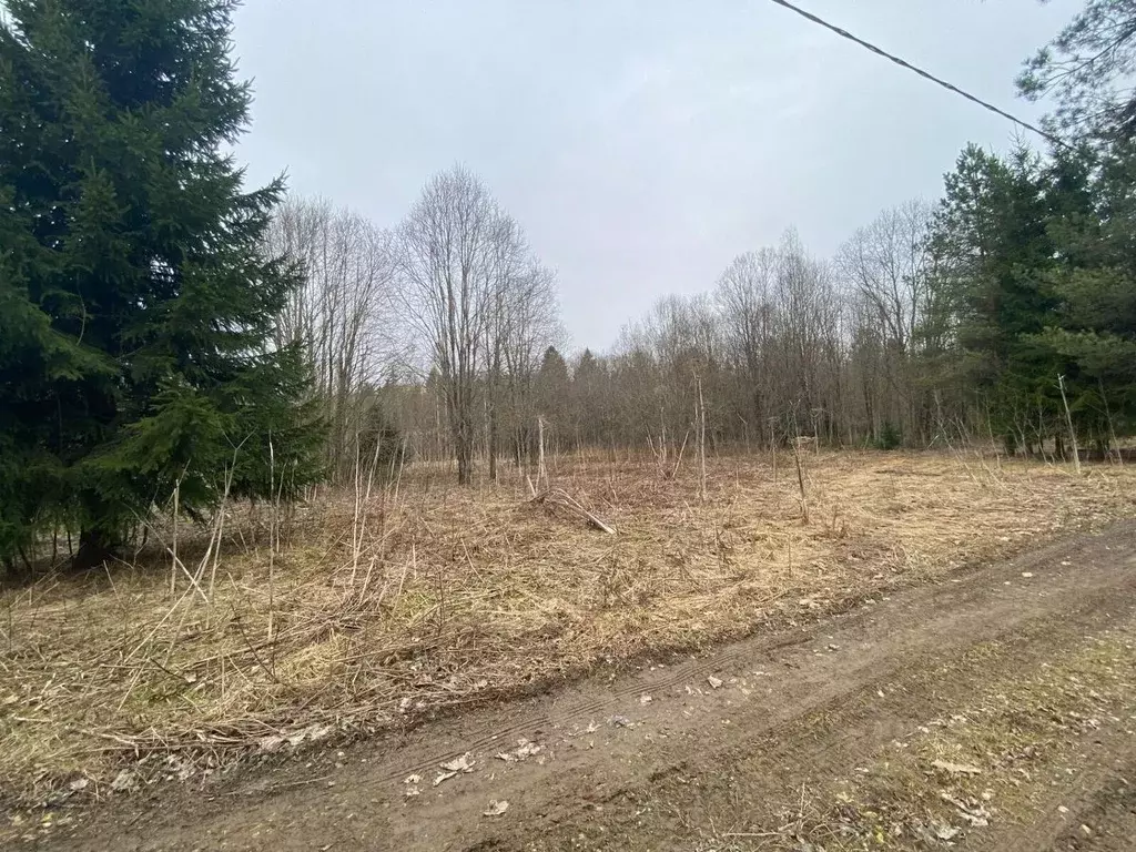 Участок в Ленинградская область, Волосовский район, Бегуницкое с/пос, ... - Фото 2