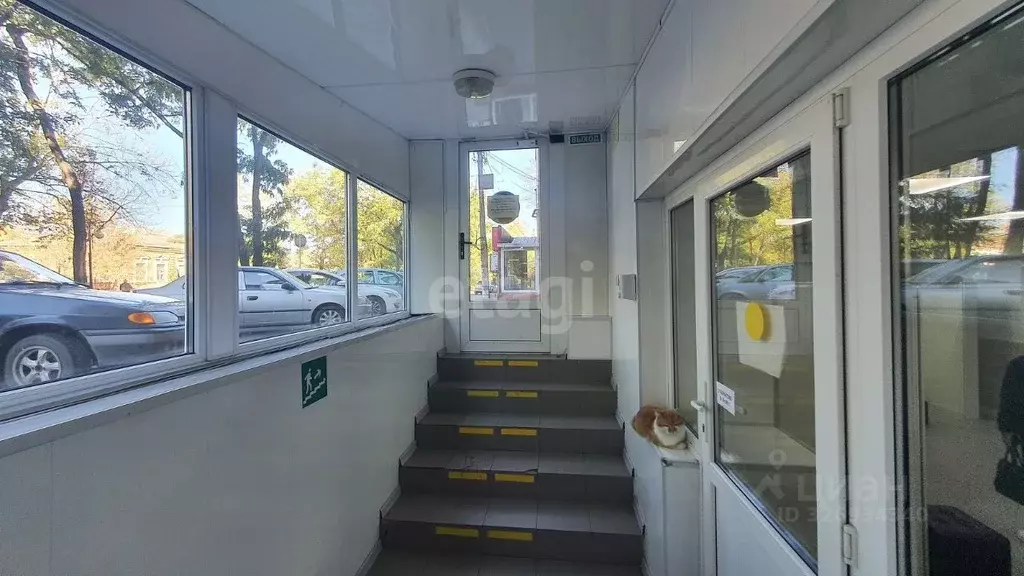 Офис в Краснодарский край, Ейск ул. Коммунаров (112 м) - Фото 2