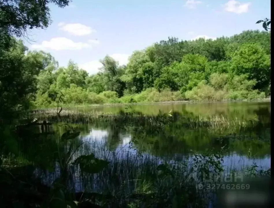 Участок в Оренбургская область, Оренбургский район, Красноуральский ... - Фото 2