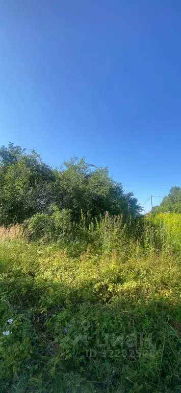 Дом в Нижегородская область, Нижний Новгород д. Крутец, 35 (25 м) - Фото 2