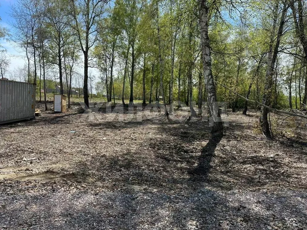 Участок в Новосибирская область, Новосибирский район, Морской ... - Фото 0