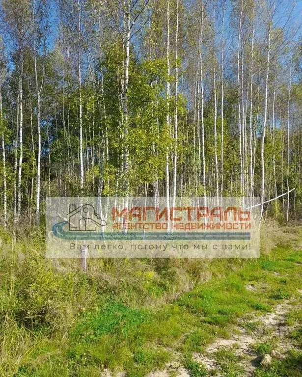 Участок 12 сот. (СНТ, ДНП) - Фото 0