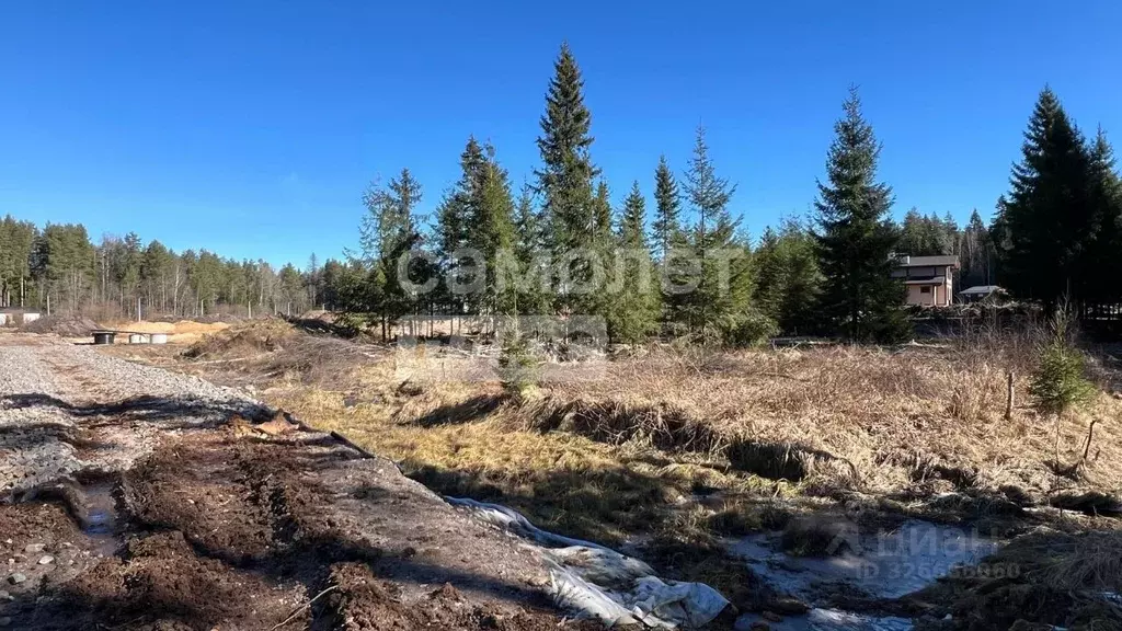 Участок в Ленинградская область, Приозерский район, Раздольевское ... - Фото 1