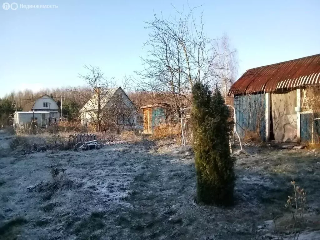 Дом в Дмитровский городской округ, садовое товарищество Лужки (38.3 м) - Фото 1