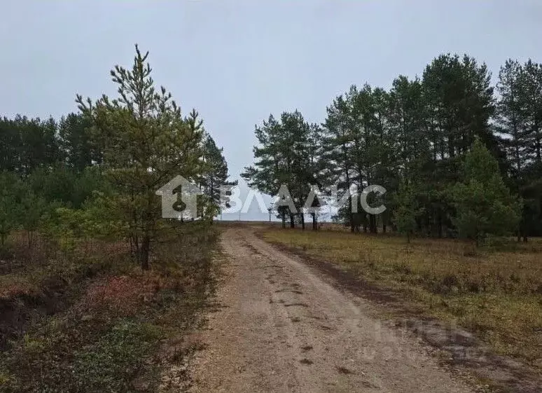 Участок в Татарстан, Высокогорский район, с. Альдермыш Зеленая ул. ... - Фото 2