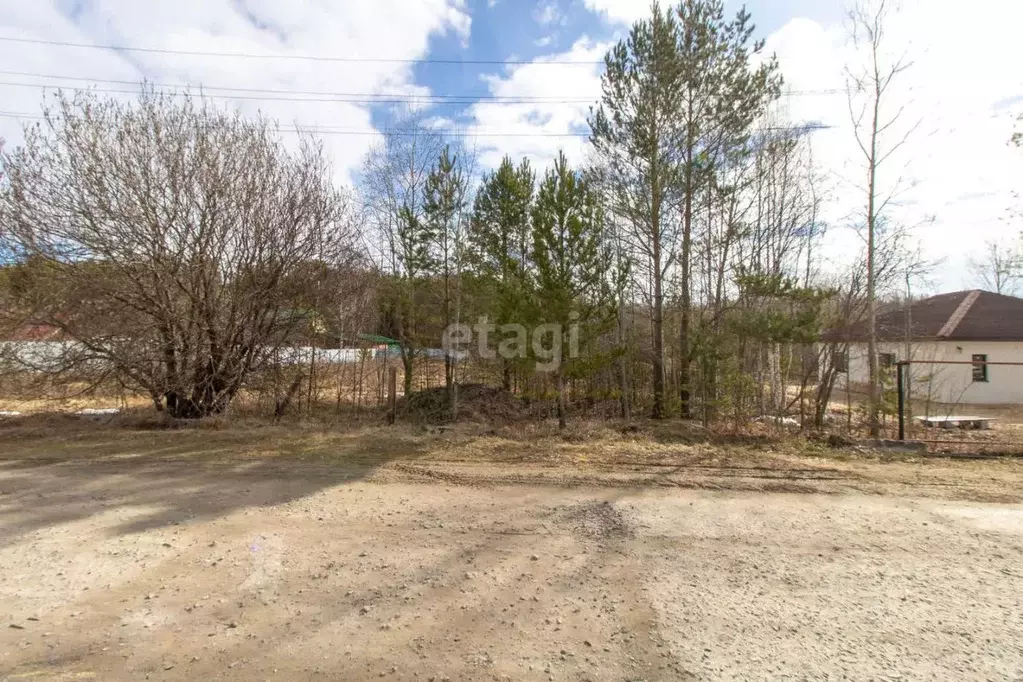 Участок в Тюменская область, Нижнетавдинский муниципальный округ, с. ... - Фото 1