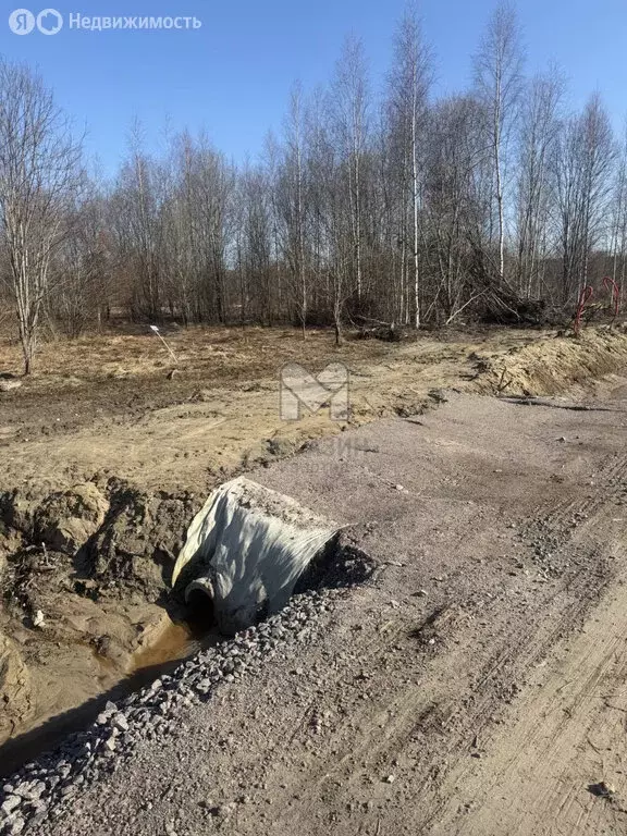 Участок в Всеволожск, Всеволожский проспект (12.25 м) - Фото 1