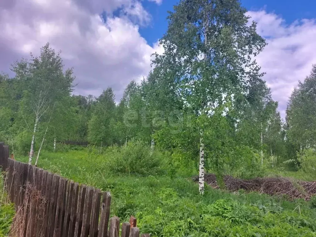 Участок в Кемеровская область, Новокузнецкий муниципальный округ, ... - Фото 1